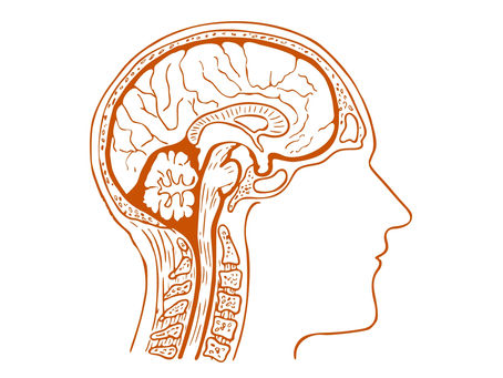 Cheap Talk Learning Method