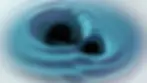 ree