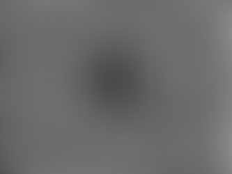 One Battle After Another: Paul Thomas Anderson and the Absurdity of Parenthood