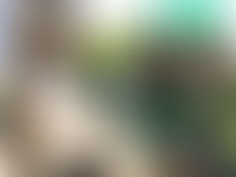 Young students engaged in creative summer camp activities at The Barrett School in Destin, Florida.