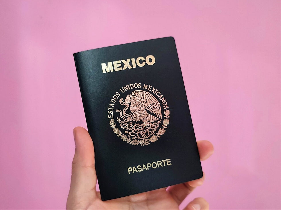 Pasaporte.