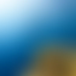 Junk Offsets Are Feeding Wave of Greenwashing, Study Shows