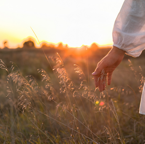 Consumers will increasingly use their wallets to help fight climate change with carbon-offset 