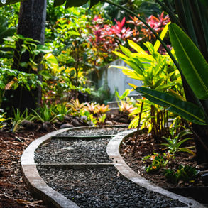 Natural Lawns: A Sustainable and Eco-Friendly Alternative to Grass