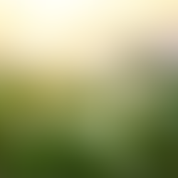 Guidelines for Successful, Sustainable, Nature-Based Solutions