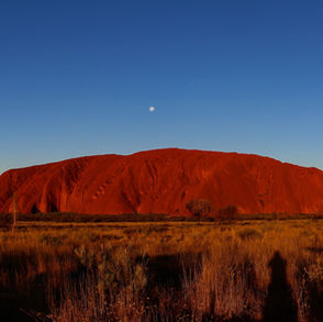 Open Letter: Global South Voices in Support of REDD+