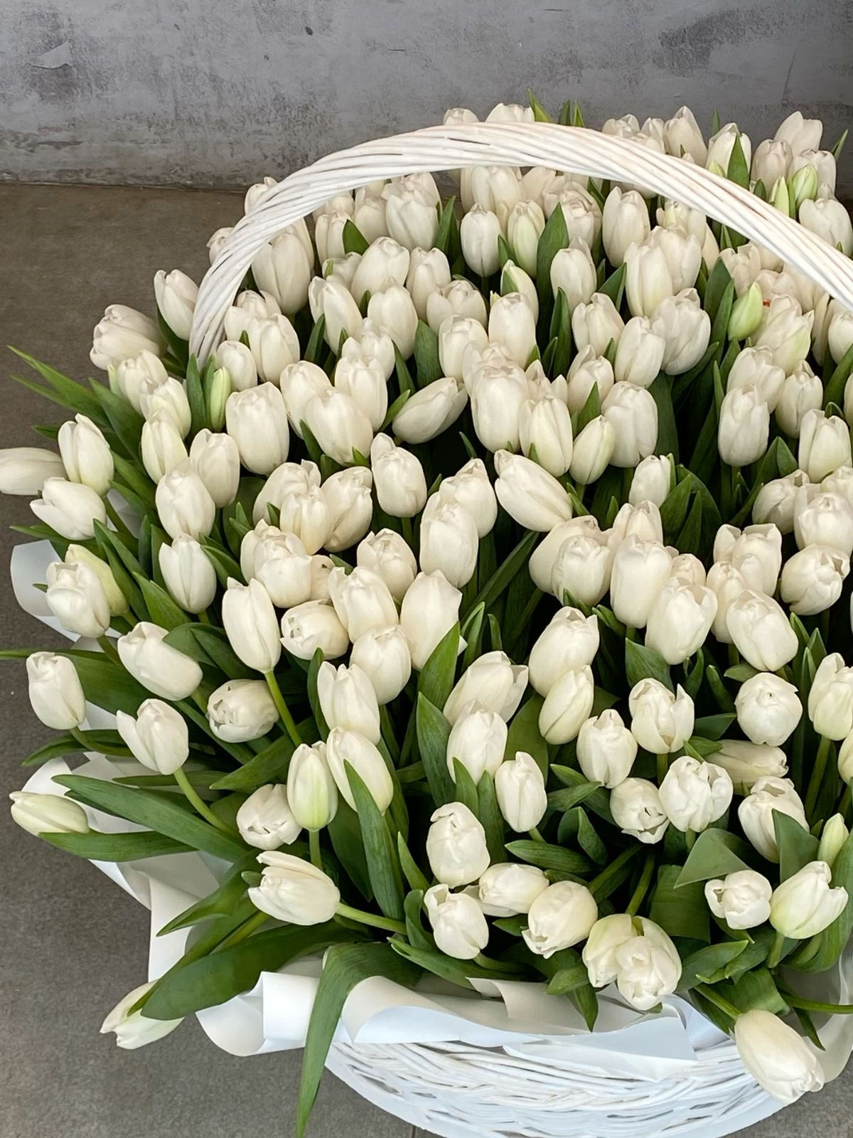 Большой букет белых тюльпанов в корзине в Аланье