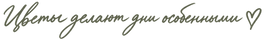 ChatGPT Image 14 сент. 2026 г_edited.png