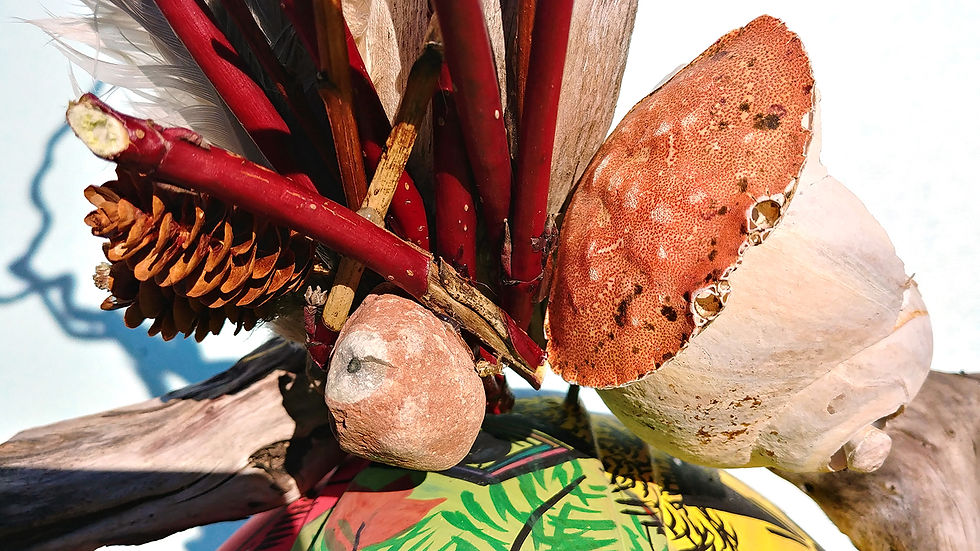 Conscience modifiée détail