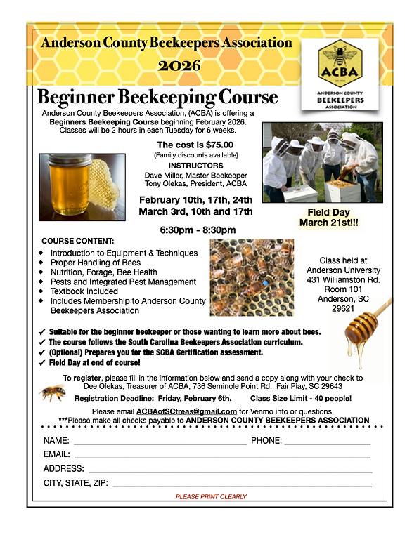 ACBA Class Flyer 2026.png