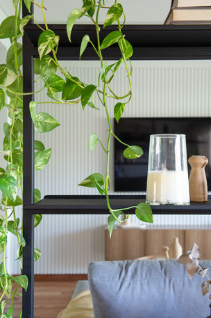 EP Depto Andonaegui 9.jpg