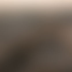 Foundations 1: The Aspiring Business Plan Series – Section 4