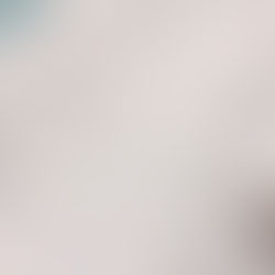  Picture of a balance sheet showing business financials