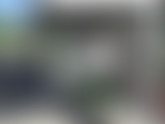 Duas novas paradas serão ativadas na Avenida Conde da Boa Vista