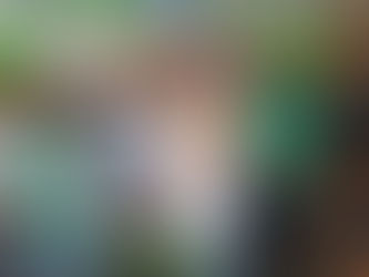 Oposição reforça que Jaboatão deve ser governado por um "filho da terra"