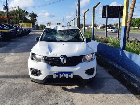 Ciclista é atropelado na BR-101 e PRF prende suspeito sob efeito de álcool