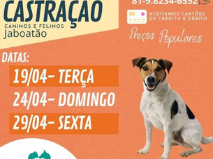 Mutirões de cães e gatos em Jaboatão com novas datas