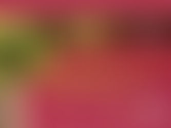 MPPE coloca no ar a campanha de sensibilização sobre o isolamento social