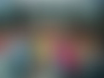 Aline Mariano declara apoio a Simone Santana em Jaboatão