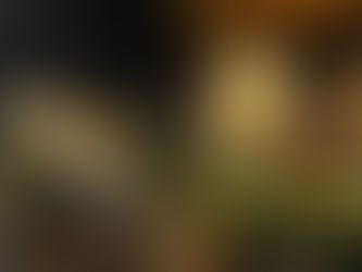 Mais de 60 mil pessoas participam da Festa de Santo Amaro