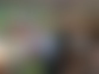 "Evangélico não é propriedade de prefeito algum", dispara Elias Gomes