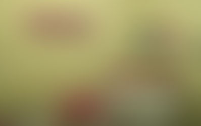 Casal perde bebê recém-nascido e denuncia negligência médica em Jaboatão