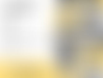 Empresa Pernambucana apresenta oportunidades de negócios durante seminário com empresários africanos