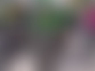 Projeto de lei cria Dia do Ciclista em Jaboatão