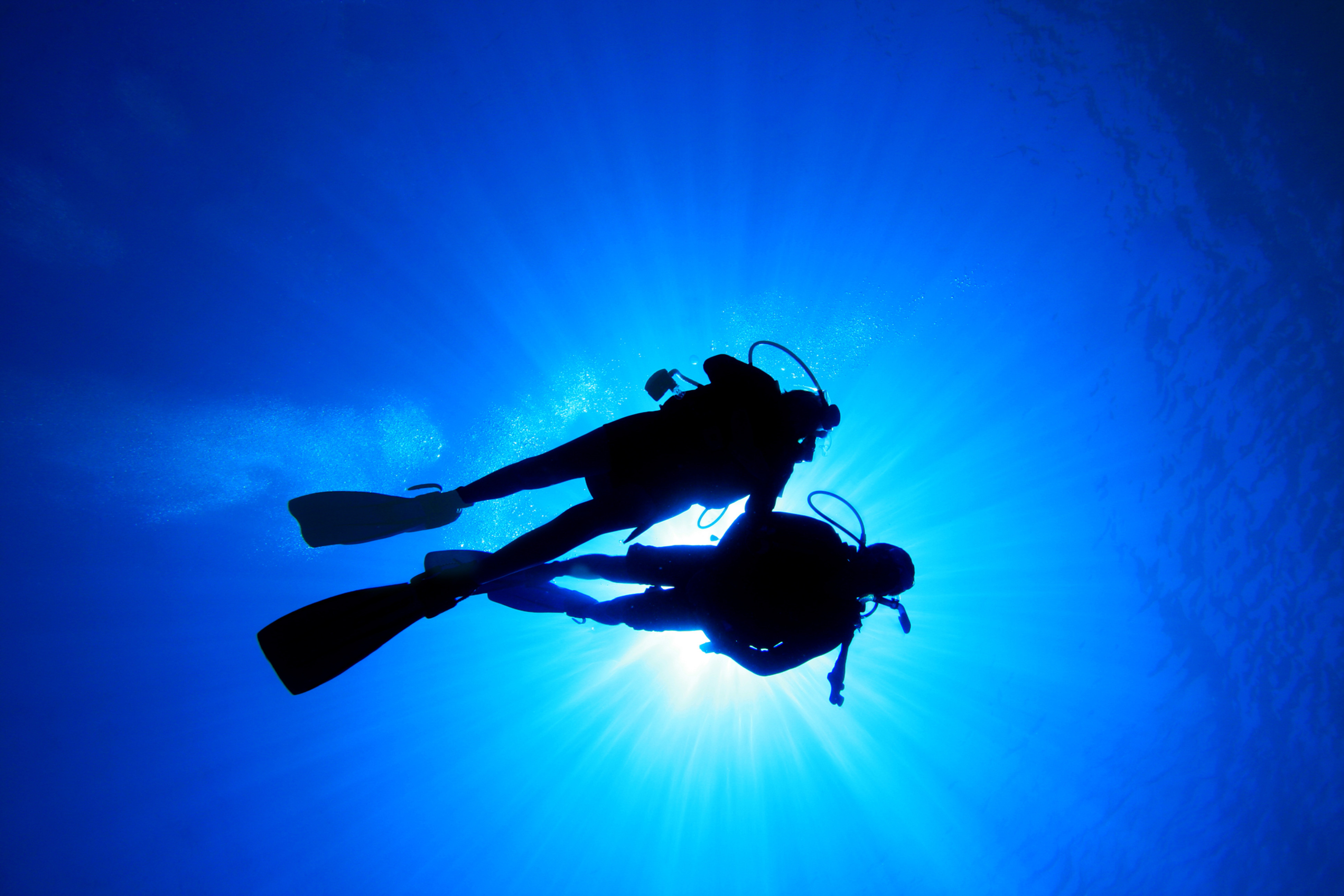 NAUI SCUBA Diver (Blue Water Rock Quarry Certification)