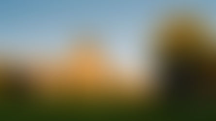 Articles of Organization Requirements for a Montana LLC