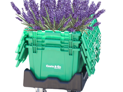 The Environmental Benefits of Using Plastic Moving Boxes for Rent