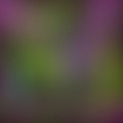 Las Poker - Thrash & Roll Trip ★★★☆☆