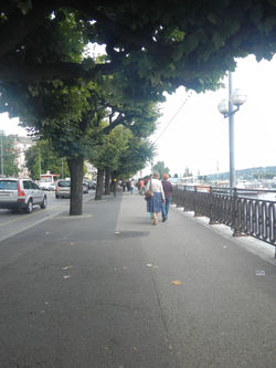 Lake side walk
