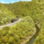 November Program Meeting