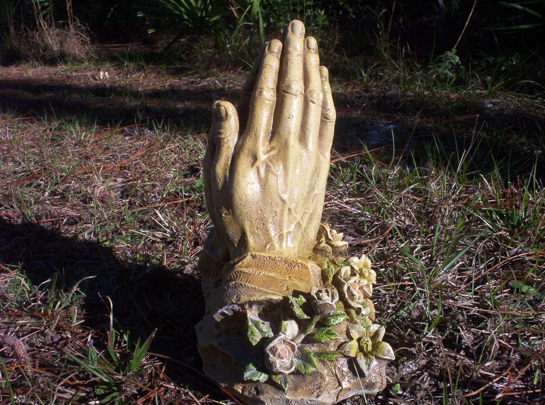 Praying Hands