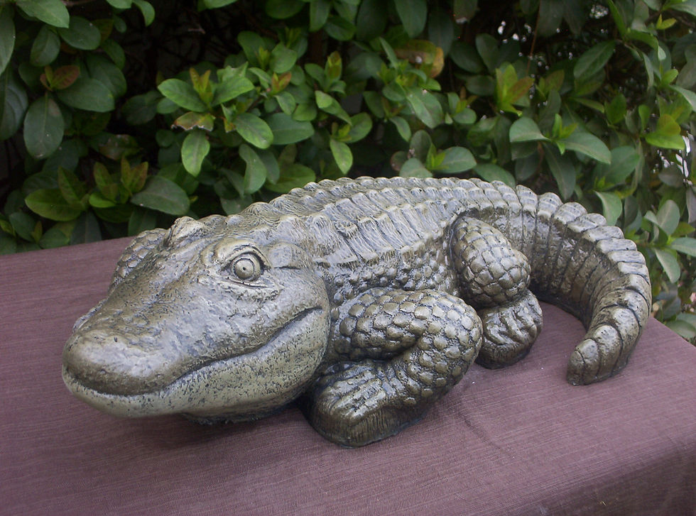 Thumbnail: Chubby Gator