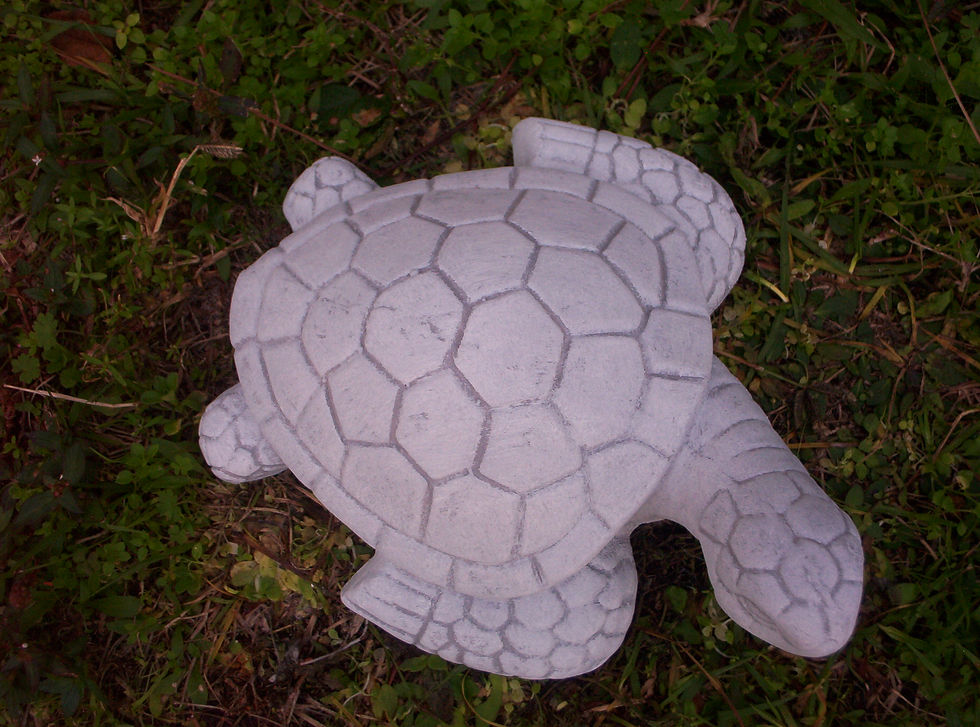 Thumbnail: Sm. Sea Turtle