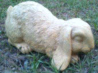 Lop Ear Bunny