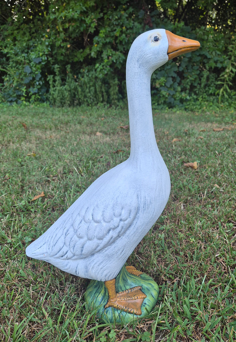 Thumbnail: Goose Junior
