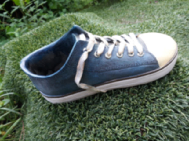 Sneaker Planter * RTG