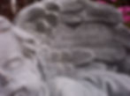 Thumbnail: Wee Babe Angel * RTG