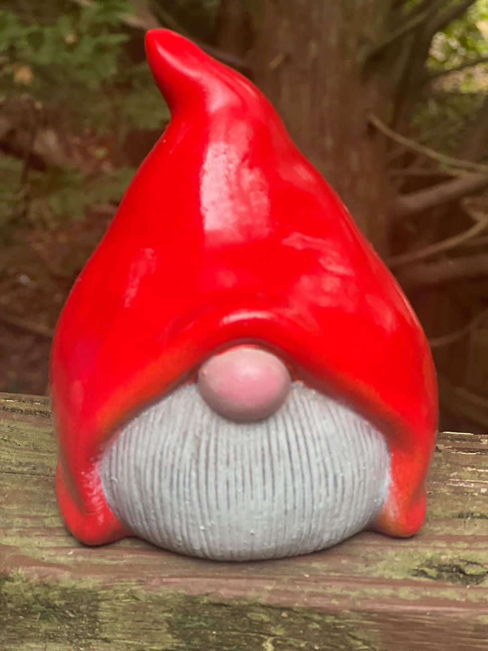 Felix the Lucky Gnome