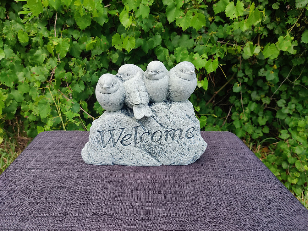 Thumbnail: Birds on Welcome Rock