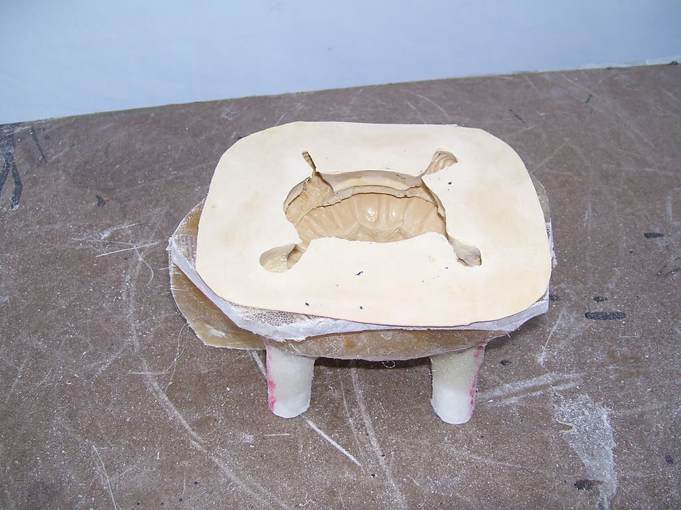Thumbnail: FANCY SHELL TURTLE