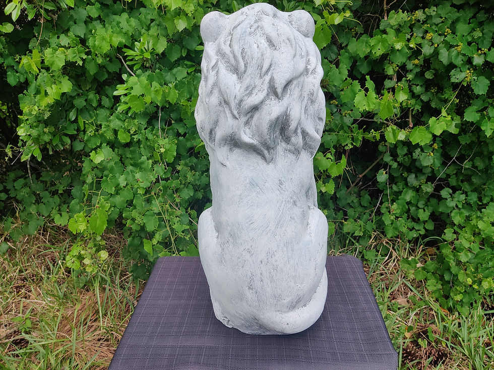 Thumbnail: Lion with Paw on Ball