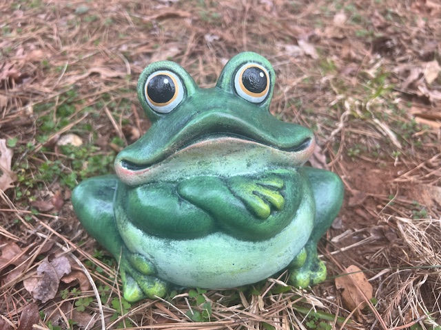 Thumbnail: Mr. Froggy