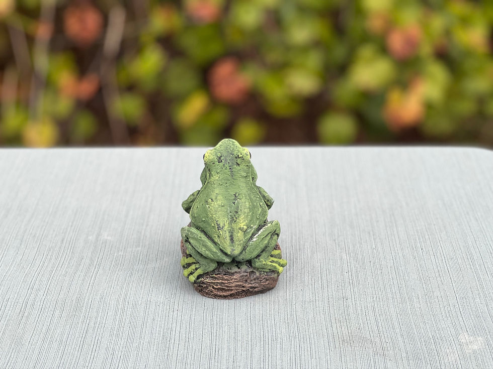 Thumbnail: Small Frog on Rock