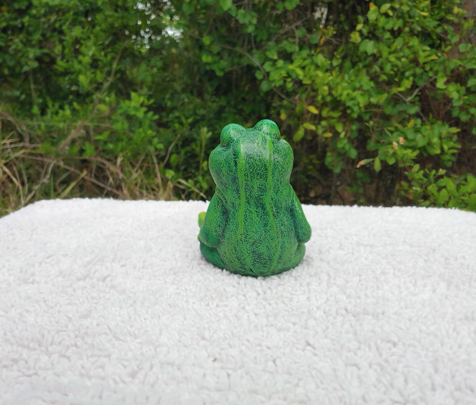 Thumbnail: Zen Frog