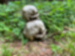 Thumbnail: Double skull