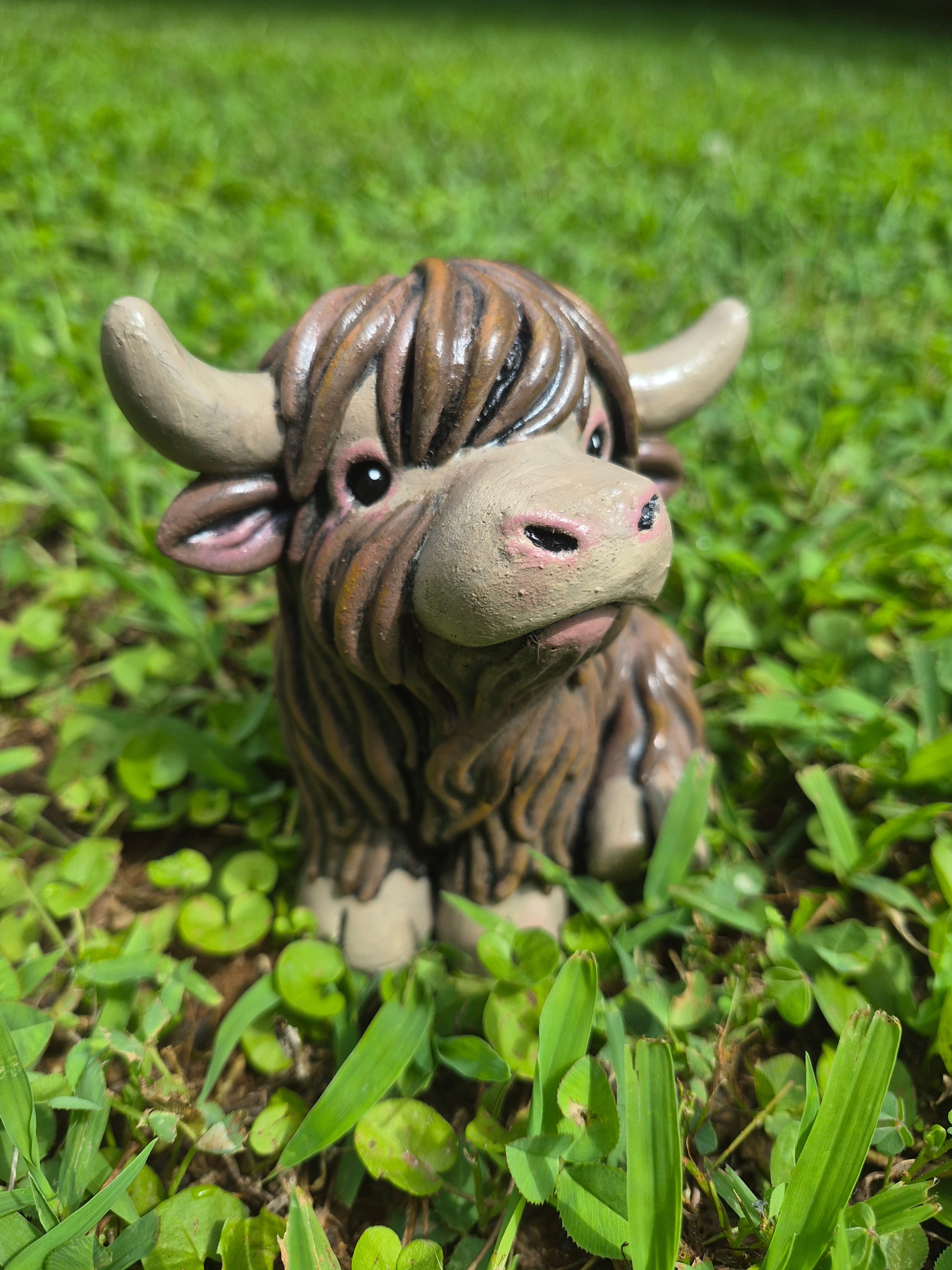 Sitting Highland Cow